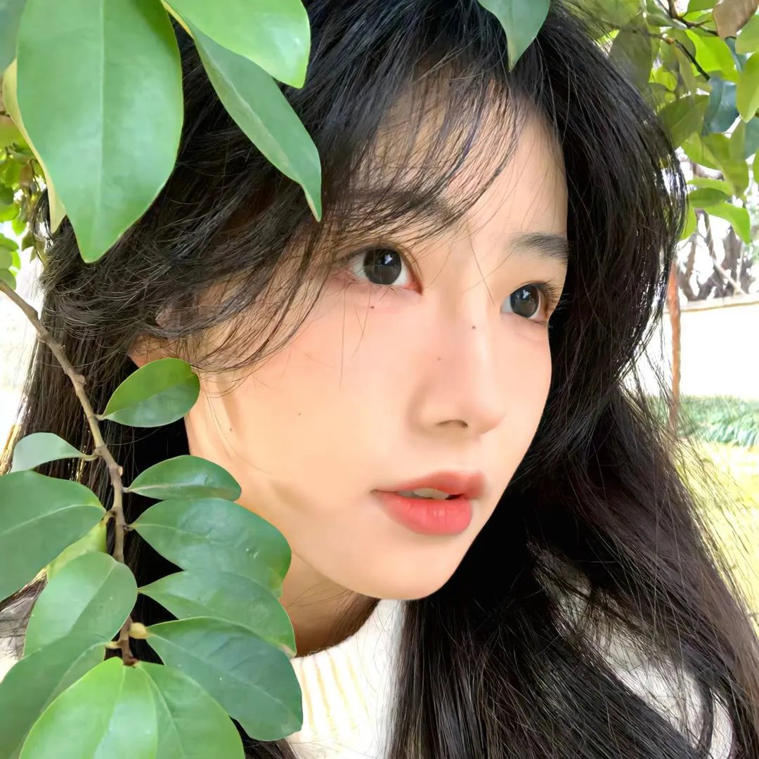 天使的眼睛